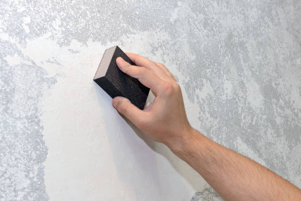 Best Basement Mold Removal  in Rden City, GA