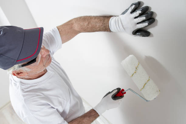Trusted Garden City, GA Mold Removal Experts