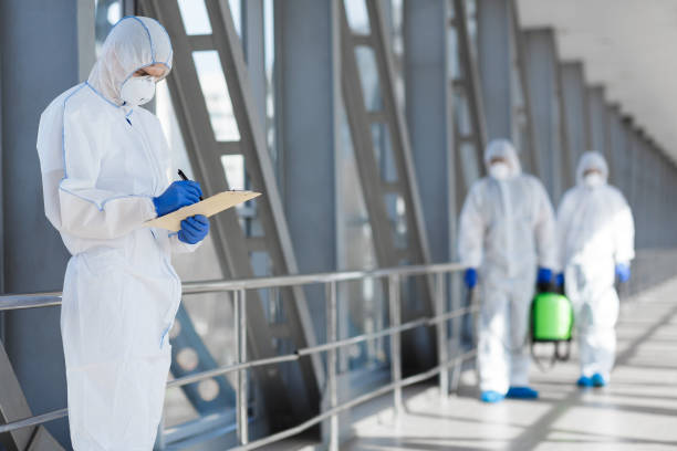 Best Attic Mold Removal  in Rden City, GA