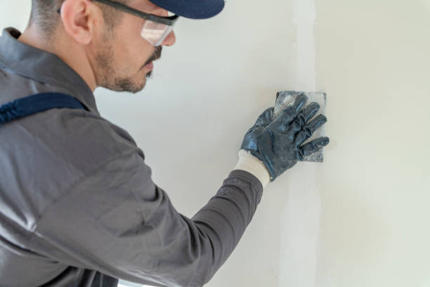 Best Mold Removal for HVAC Installations  in Rden City, GA
