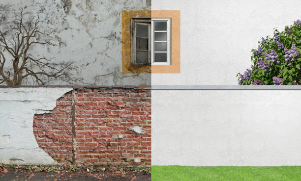 Best Emergency Mold Remediation  in Rden City, GA