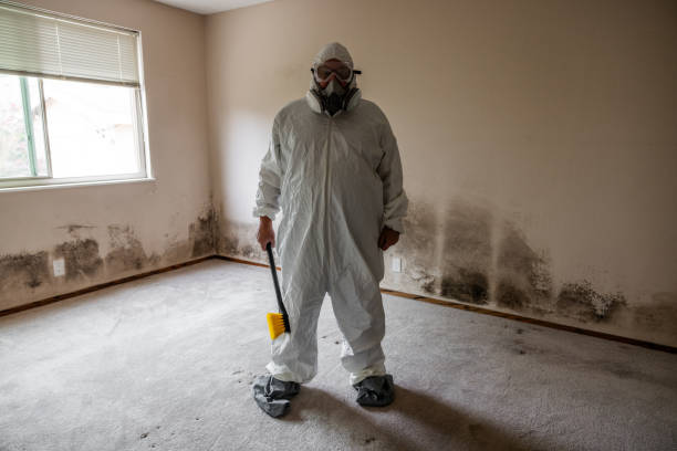 Best Mold Remediation for Healthcare Facilities  in Rden City, GA